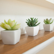 全部が全部「こだわり」ばかりじゃなかったからこそ、たくさんの提案が助かりました。_4